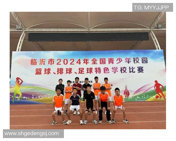 足球印子背后的故事与激情探寻球场上那些难忘的瞬间与情感